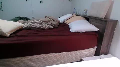 Kittyymaze online show from 18, 12, 2025