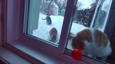 Snapshot of kiveuxmakeu chatting on 27, 12, 2024 kiveuxmakeu online show from 27, 12, 2024