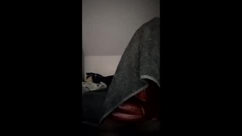 kockforyou online show from 5, 12, 2025