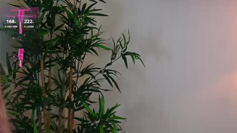 Snapshot of kore__1 chatting on 7, 6, 2026 Kore online show from 7, 6, 2026