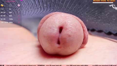 Petra online show from 5, 12, 2024