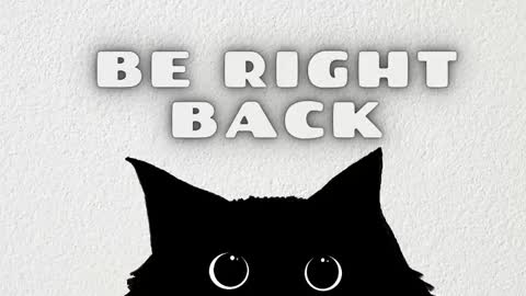   online show from 25, 3, 2026