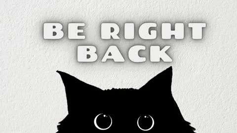   online show from 24, 5, 2026