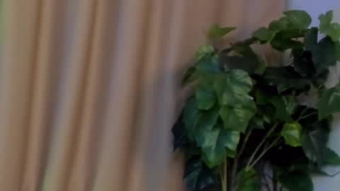 Kristi online show from 7, 12, 2024