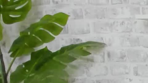 Kristi online show from 15, 12, 2024