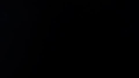 kvicali online show from 30, 12, 2024