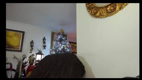 Snapshot of kyhara chatting on 23, 12, 2024 kyhara online show from 23, 12, 2024