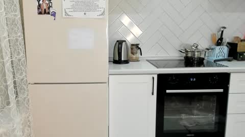 Din online show from 15, 11, 2025