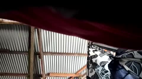 kylie online show from 10, 4, 2026