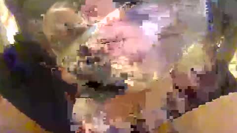 l0ngjohnsilv3er online show from 16, 10, 2025