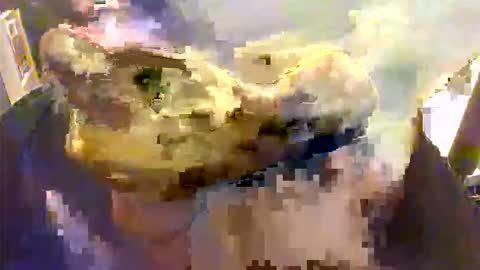 l0ngjohnsilv3er online show from 26, 11, 2025