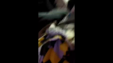 Snapshot of labran817 chatting on 11, 4, 2026 labran817 online show from 11, 4, 2026