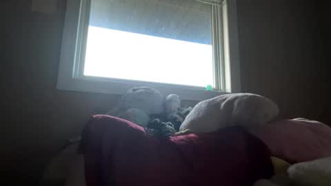 Snapshot of lacedinsin chatting on 5, 5, 2026 lacedinsin online show from 5, 5, 2026