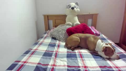 Snapshot of ladahear_ chatting on 21, 10, 2025 Akyra online show from 21, 10, 2025