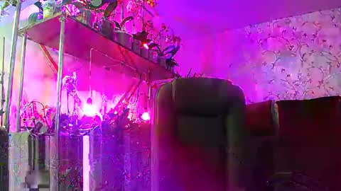 Snapshot of lady_gloria chatting on 15, 2, 2025 Lady Gloria online show from 15, 2, 2025