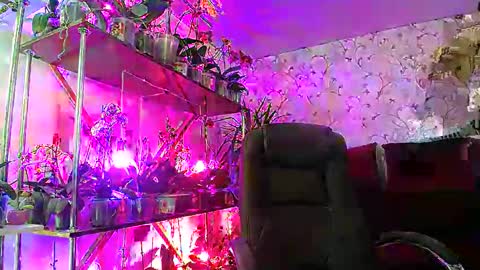 Snapshot of lady_gloria chatting on 22, 2, 2025 Lady Gloria online show from 22, 2, 2025