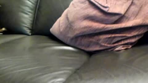 tomtom online show from 8, 3, 2025