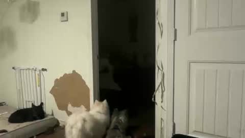 lanasharapovaxxx online show from 18, 2, 2026