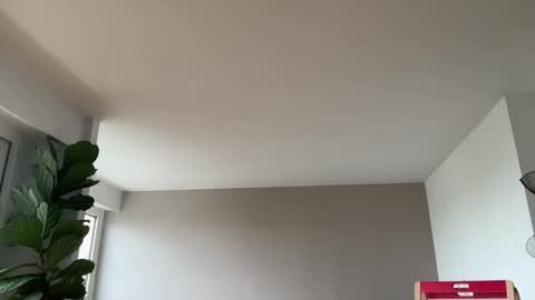 Snapshot of lanimalr chatting on 3, 10, 2025 Lanimal online show from 3, 10, 2025