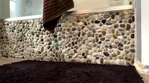 latinlover199518 online show from 16, 4, 2026