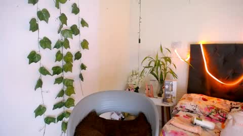 Snapshot of laura_candy02 chatting on 19, 5, 2026 LAURA online show from 19, 5, 2026