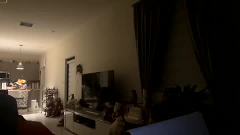 Snapshot of law_cambio chatting on 31, 12, 2024 law_cambio online show from 31, 12, 2024