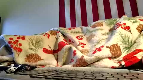 Snapshot of lawerenceingram46 chatting on 19, 10, 2025 lawerenceingram46 online show from 19, 10, 2025