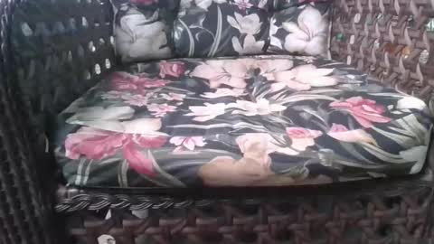 kelly online show from 15, 2, 2026