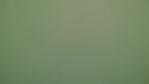 Michel online show from 28, 11, 2025