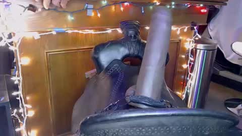 Lee Cox online show from 8, 11, 2025