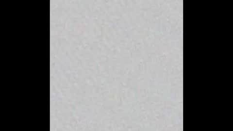 leejhonsonnn online show from 11, 11, 2025