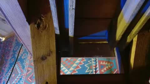 Dliciousman online show from 19, 12, 2024