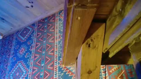 Dliciousman online show from 23, 12, 2024