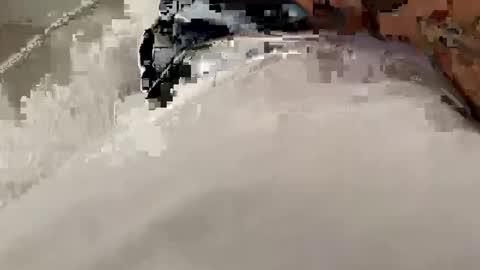 legal4 online show from 9, 10, 2025