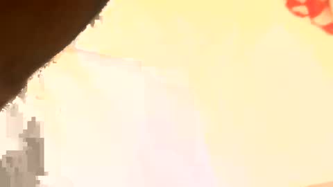 legal4 online show from 11, 3, 2026