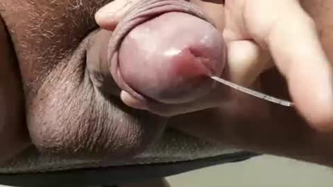 legofactory online show from 27, 11, 2025