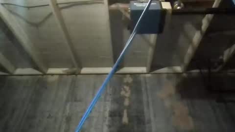 leo199984 online show from 27, 11, 2025