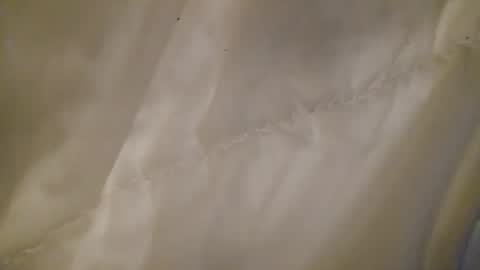 Snapshot of leojenks chatting on 11, 2, 2026 leojenks online show from 11, 2, 2026