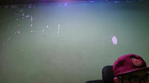 LYF online show from 1, 12, 2025