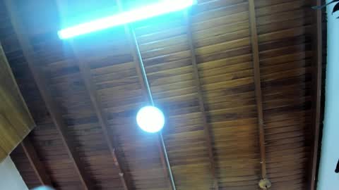 LevySteven online show from 23, 11, 2025