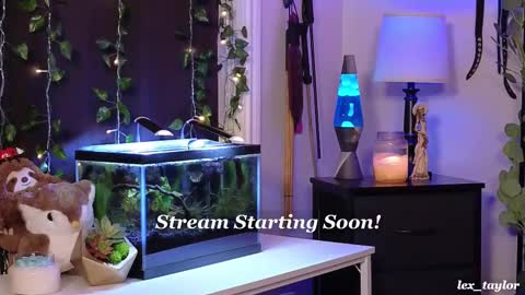 Snapshot of lex_taylor chatting on 17, 2, 2025 Lex online show from 17, 2, 2025