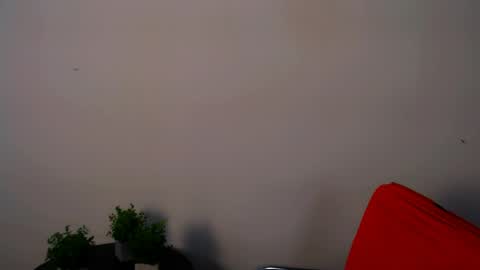 Snapshot of lexi_jos chatting on 15, 5, 2026 Alexia online show from 15, 5, 2026