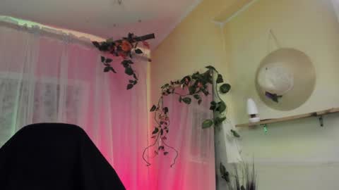   online show from 14, 12, 2024