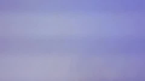 Lyela online show from 7, 10, 2025