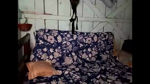 Lia online show from 8, 1, 2025