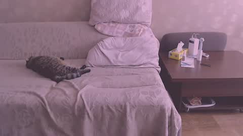 Snapshot of liahsofty chatting on 6, 8, 2026 miss Lia colection for travel online show from 6, 8, 2026