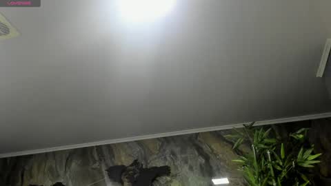 Snapshot of liam_kleiin chatting on 25, 1, 2025 LIAM KLEIN online show from 25, 1, 2025