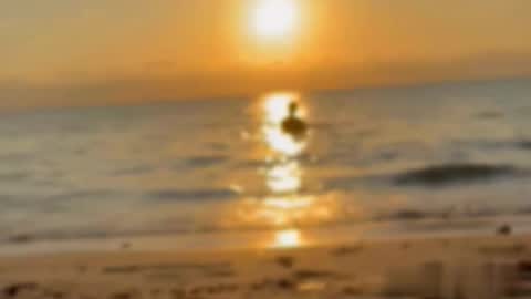 Snapshot of liamtaylor_ chatting on 16, 1, 2026 Tell me Liam online show from 16, 1, 2026