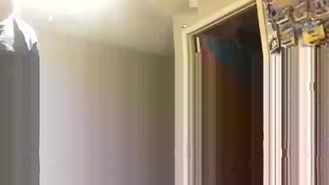 lie2ne online show from 16, 11, 2025