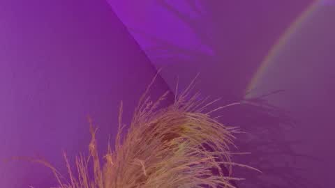 Liiam Luna online show from 17, 1, 2026